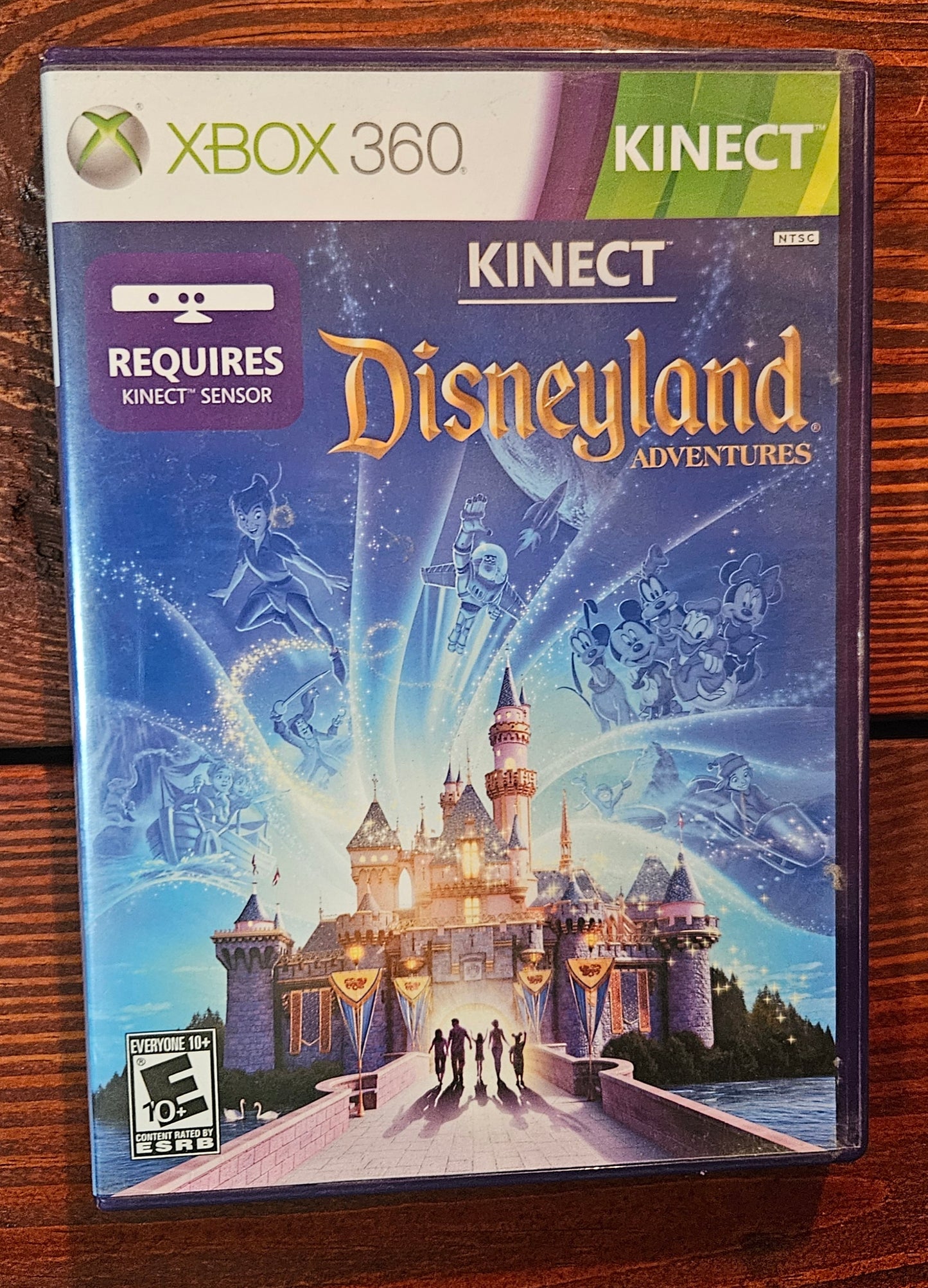 Kinect Disneyland