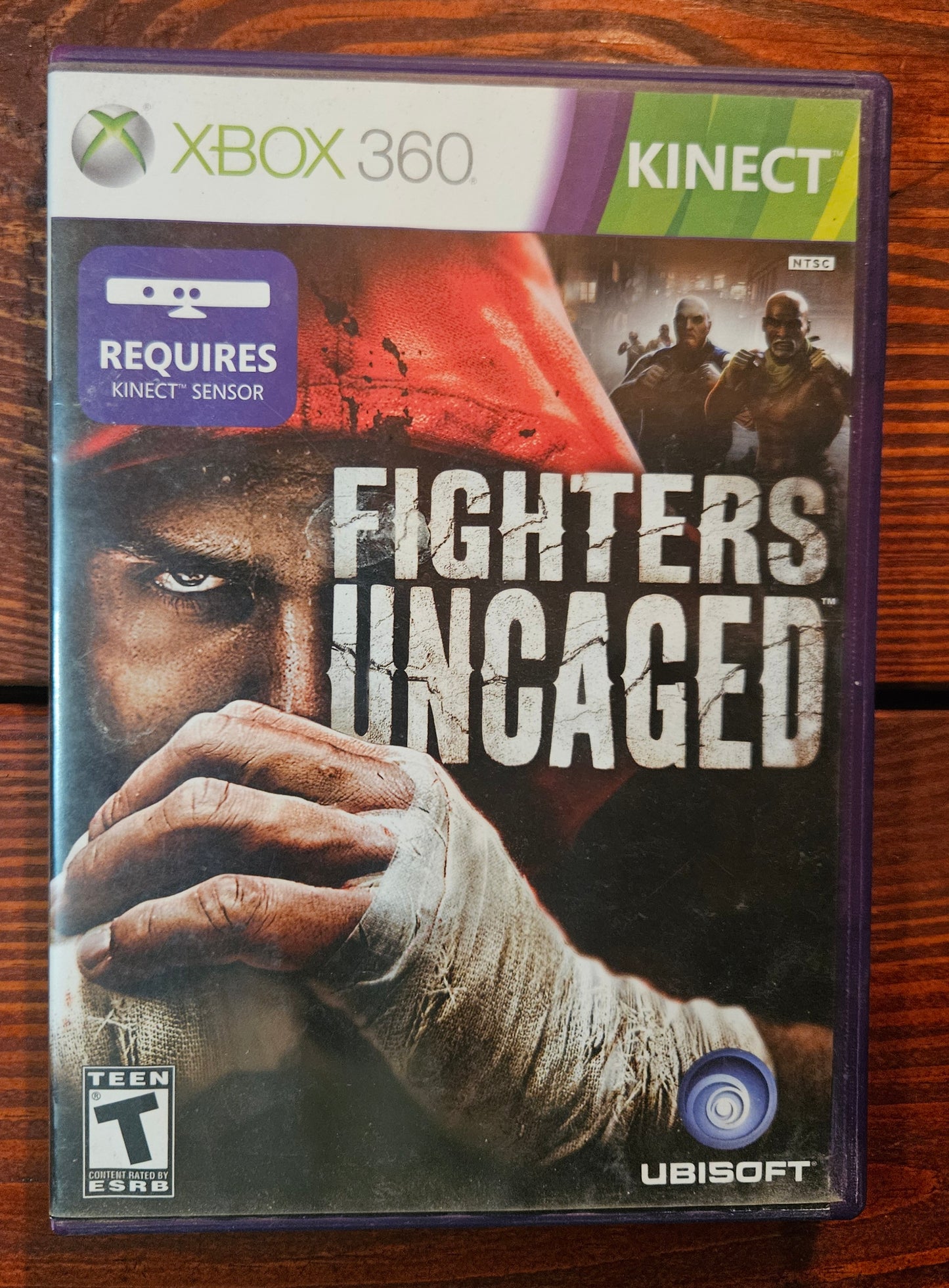 Fighters Uncaged Kinect