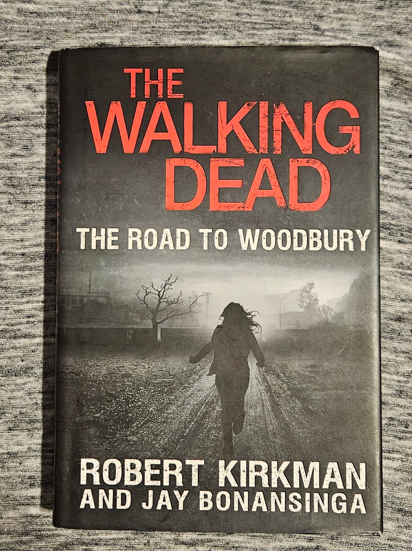 The Walking Dead: The Road To Woodbury (Book)