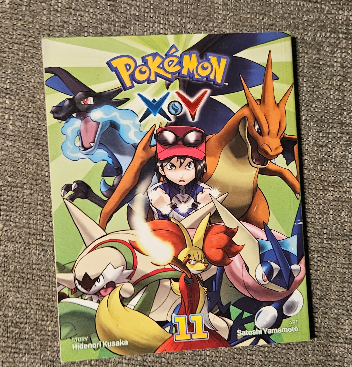 Pokémon X & Y Book 11