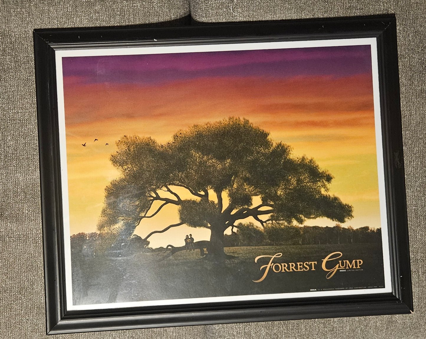 Forrest Gump Framed Picture