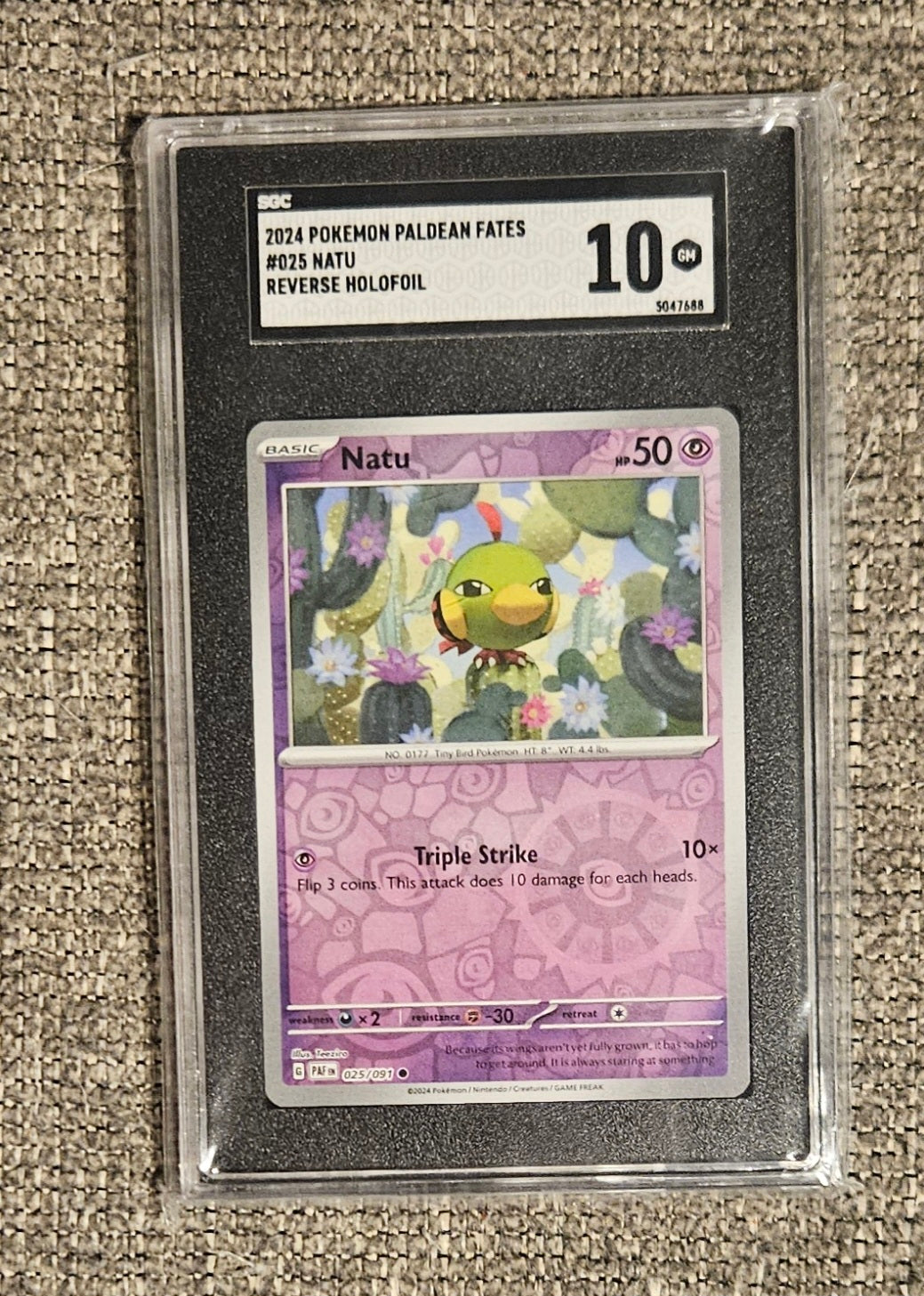 Pokémon Natu Graded Card