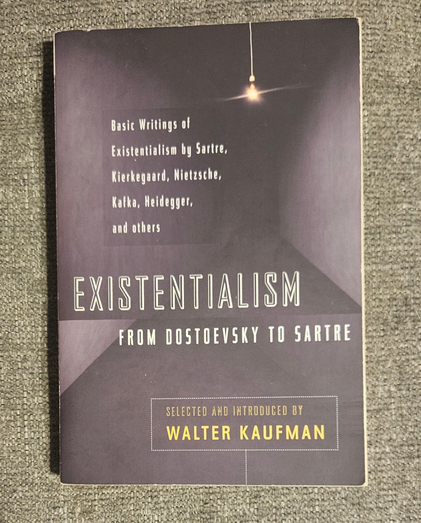 Existentialism: From Dostoevsky To Sartre Book