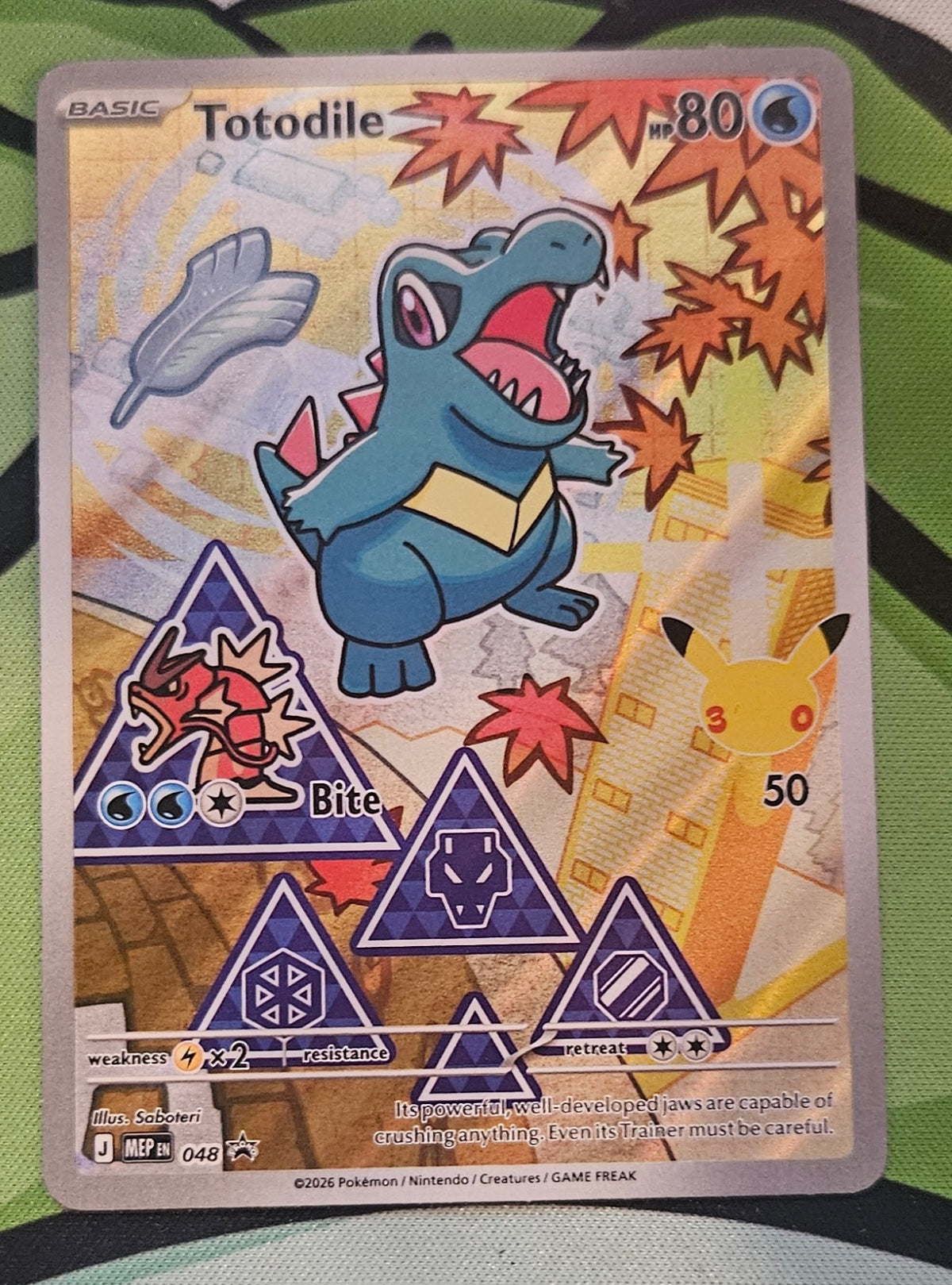 Totodile Pokémon Card