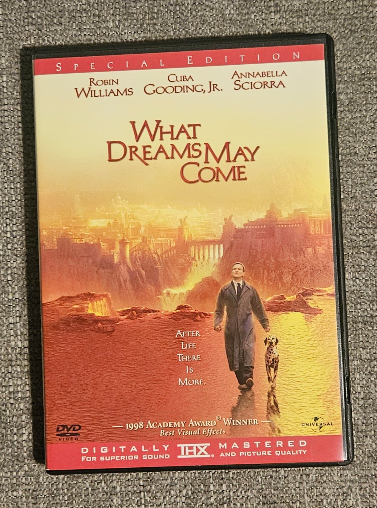 What Dreams May Come (DVD)