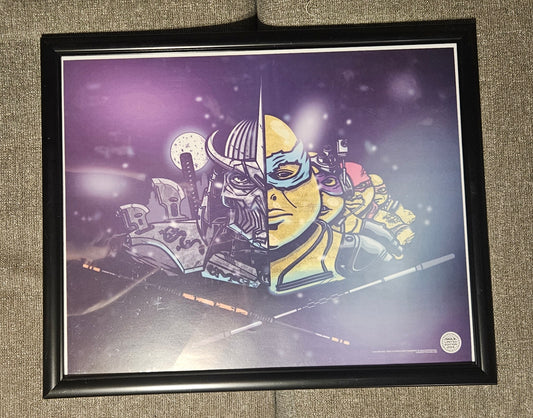 TMNT Framed Picture