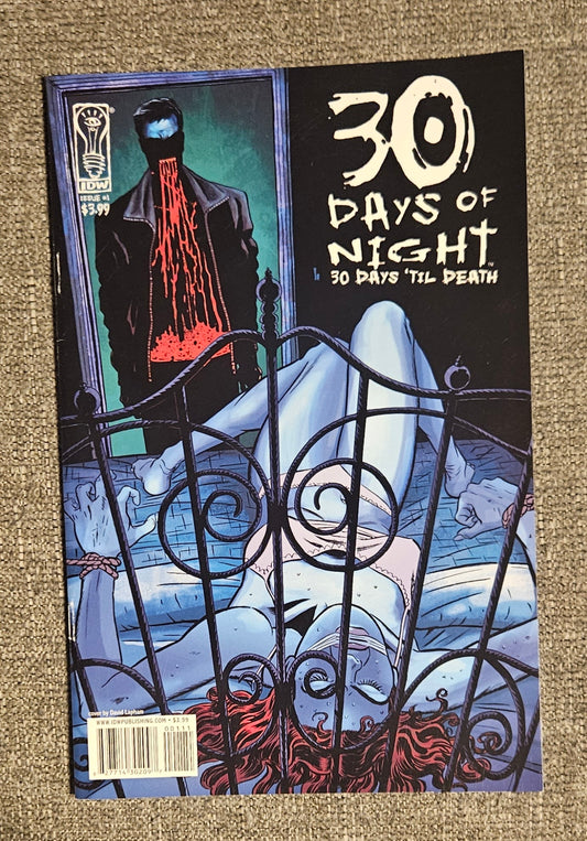 30 Days Of Night: 30 Days 'Til Death Comic Book