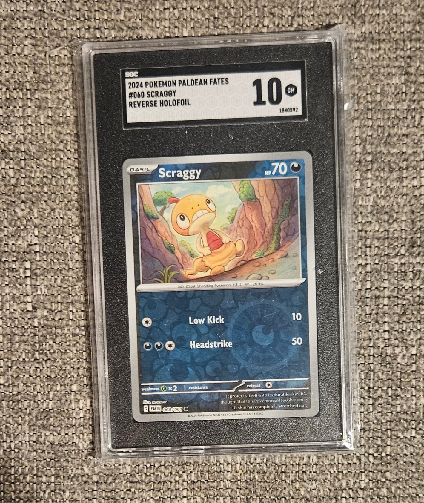 Pokémon Scraggy Graded Card