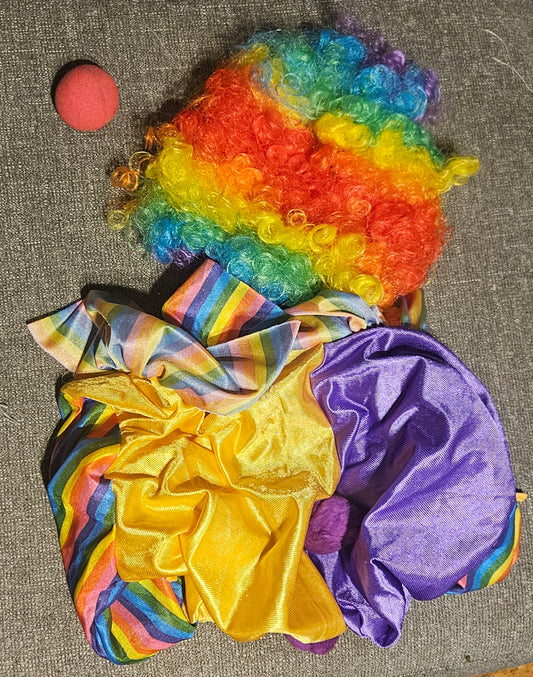 Kids Clown Costume