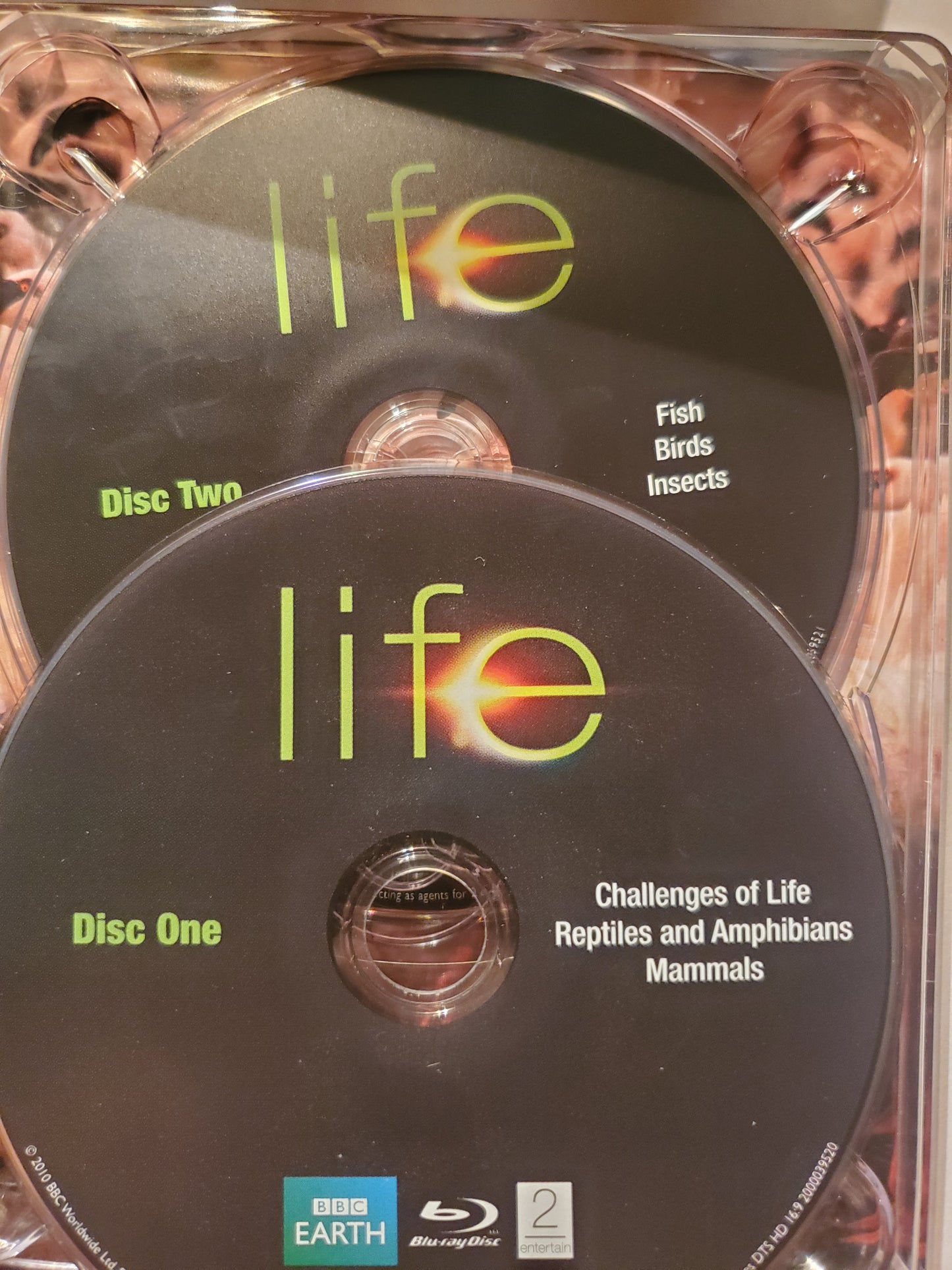 Life:   From The Makers Of Planet Earth