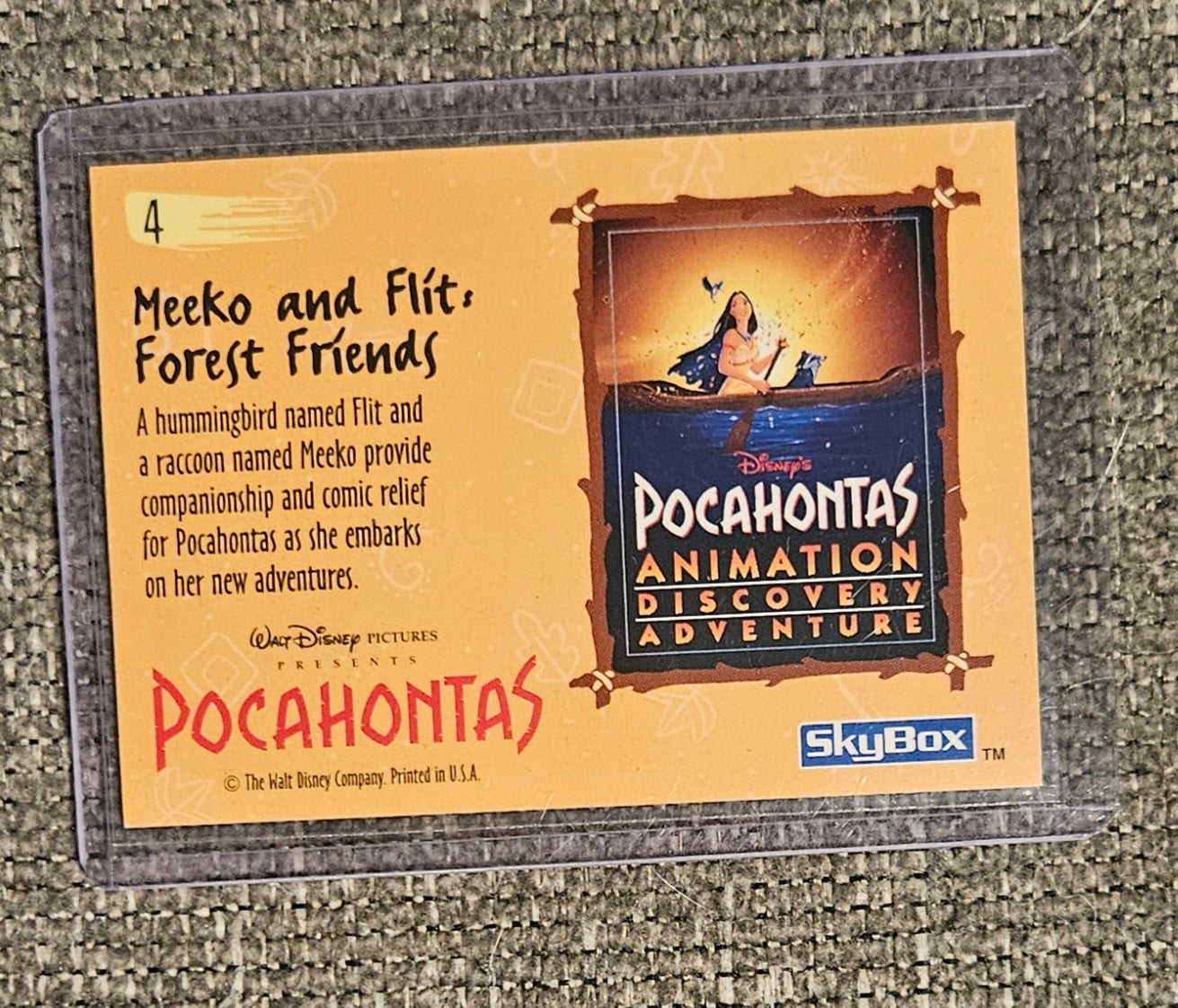 Disney's Pocahontas Animation Discovery Adventure
