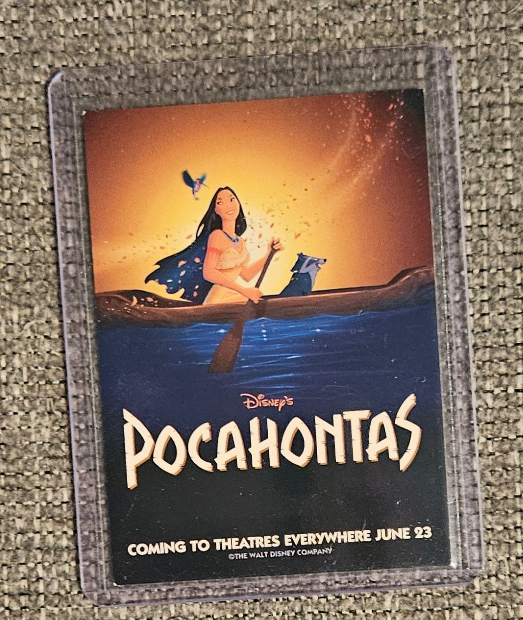 Disney's Pocahontas Animation Discovery Adventure