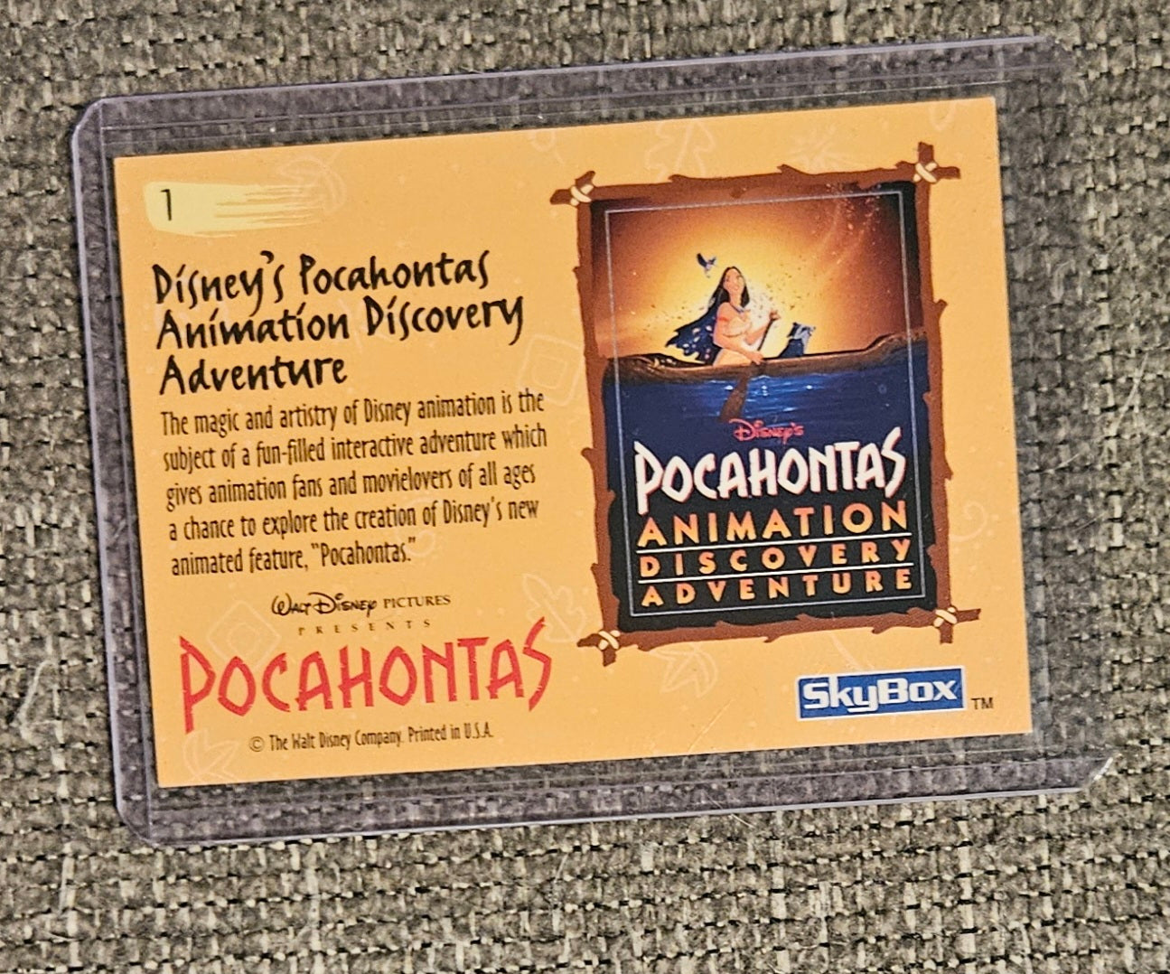 Disney's Pocahontas Animation Discovery Adventure