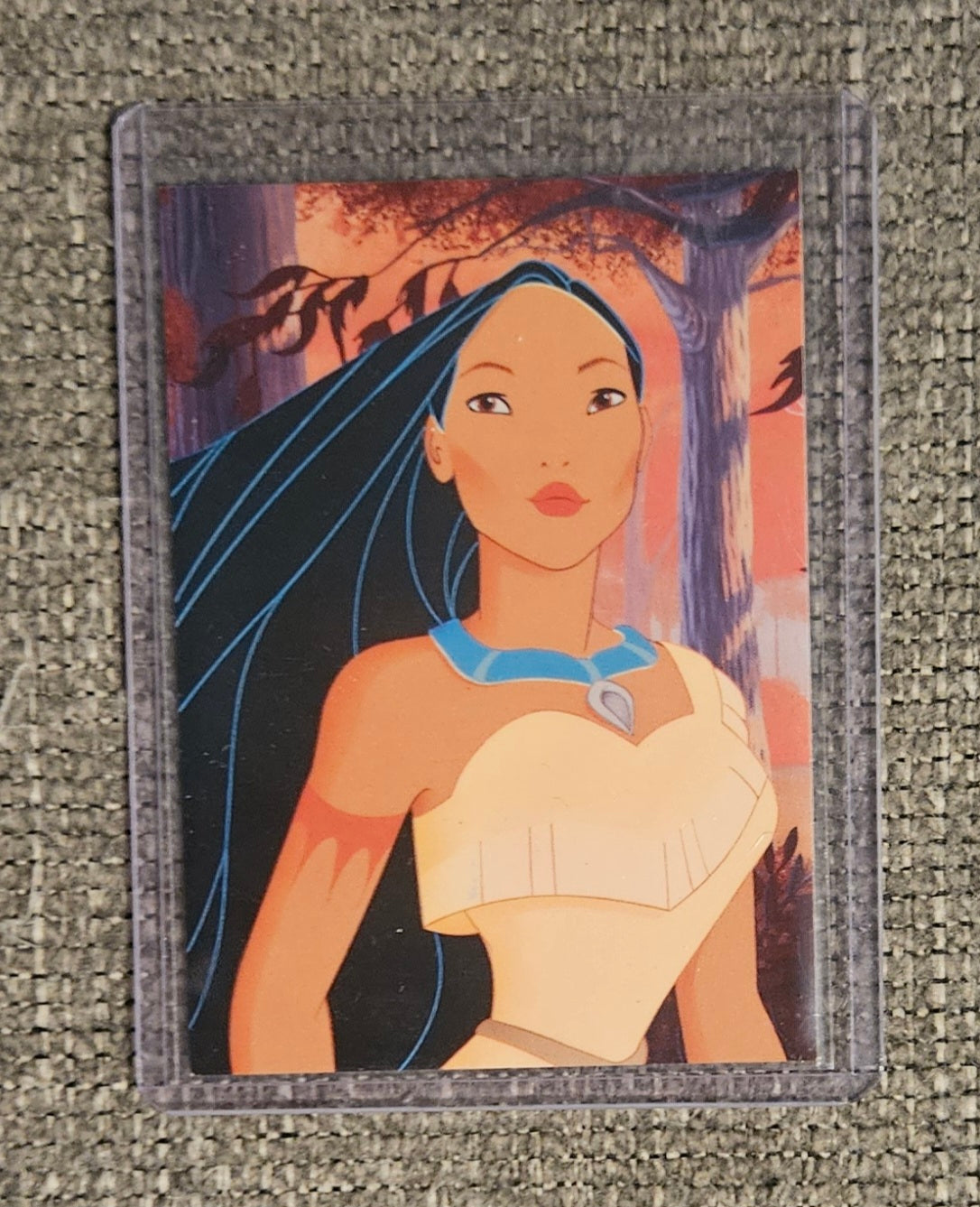 Disney's Pocahontas Animation Discovery Adventure