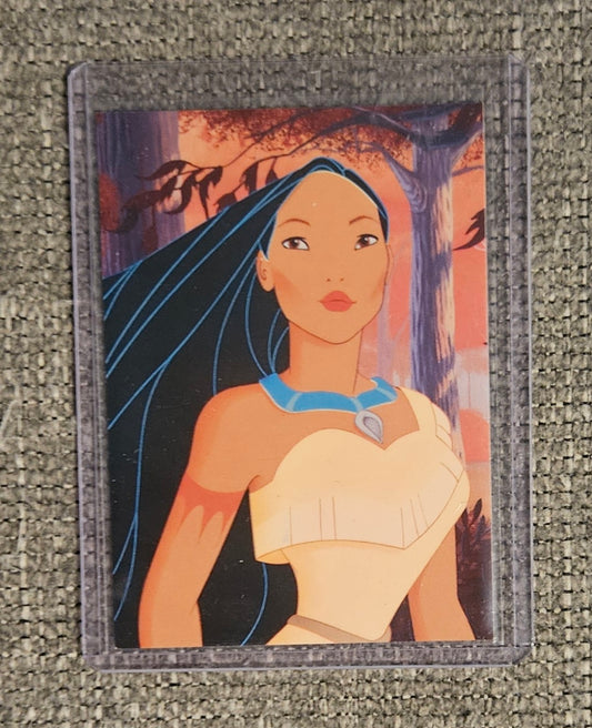 Disney's Pocahontas Animation Discovery Adventure
