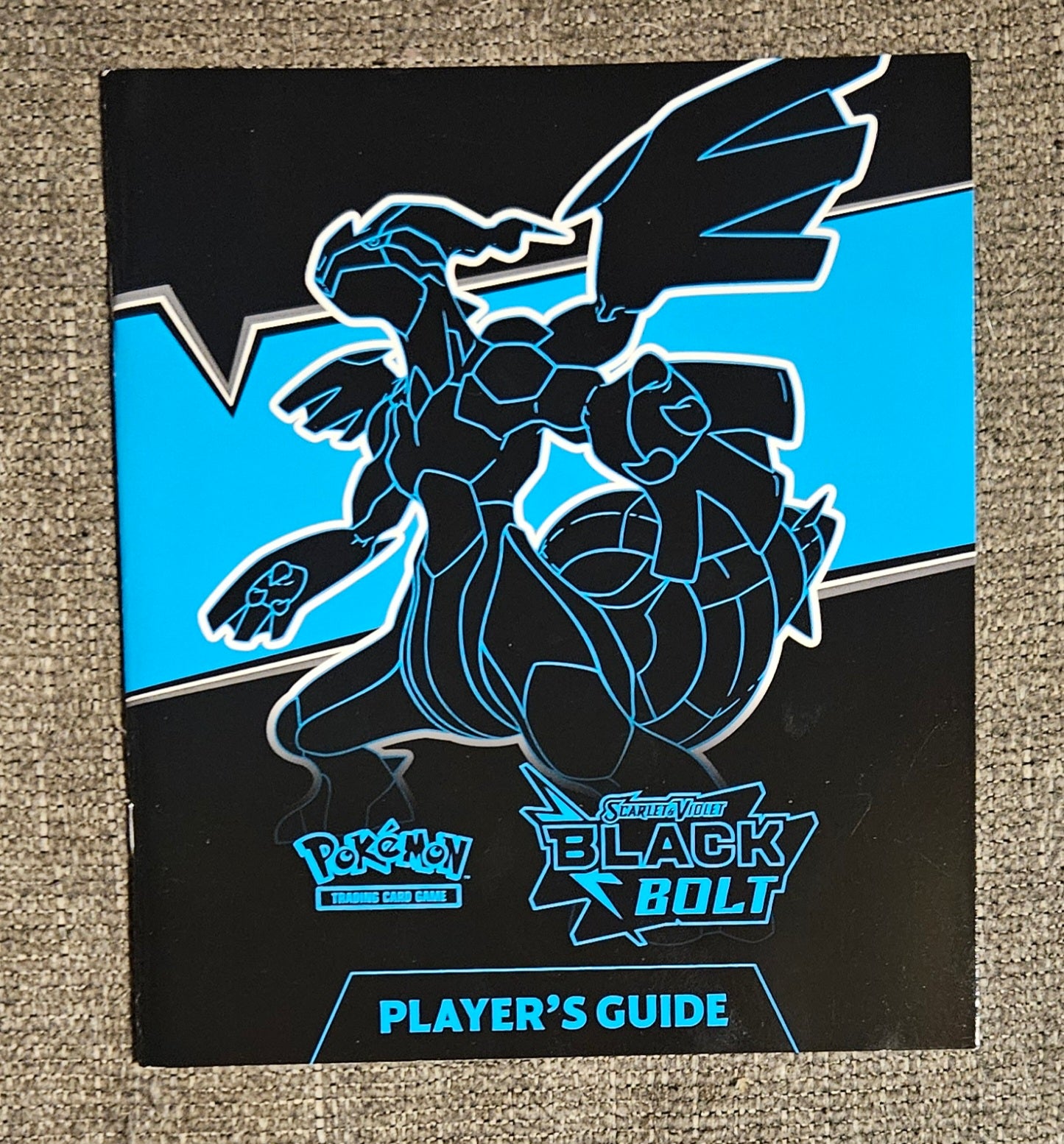 Scarlet & Violet Black Bolt Player's Guide