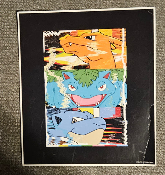Pokémon Artwork