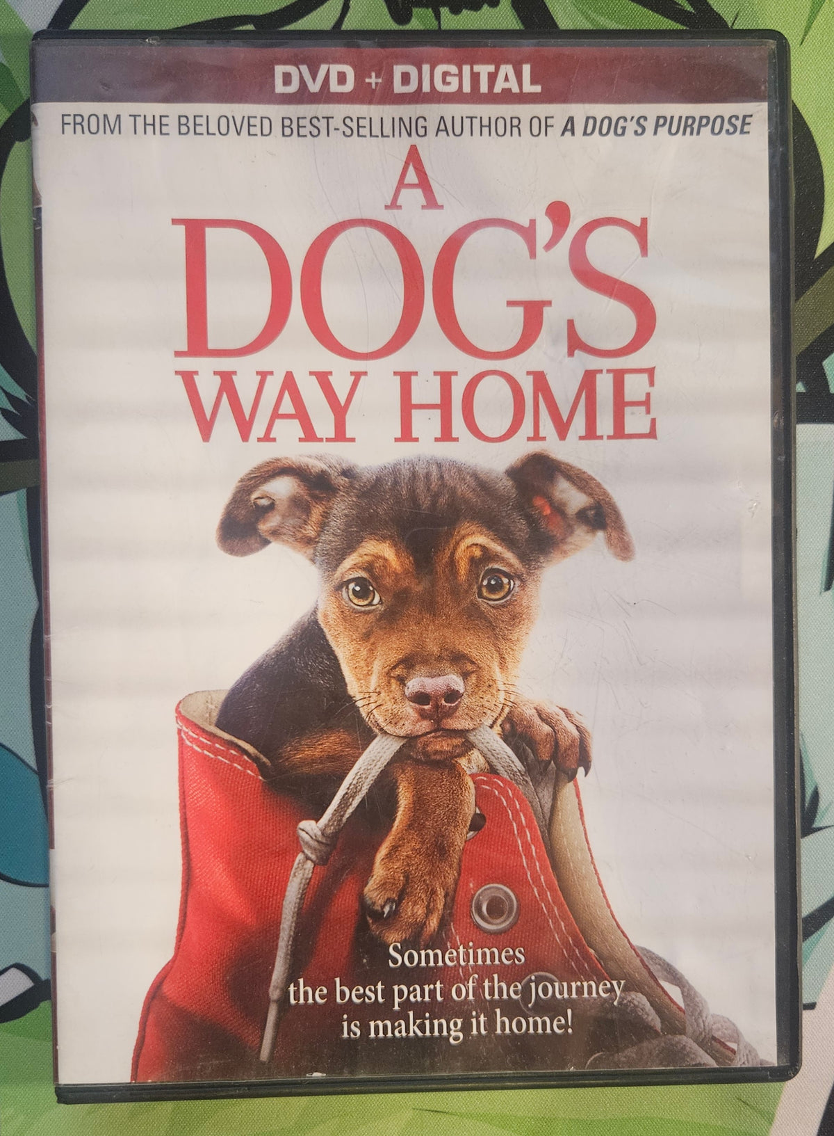 A Dog's Way Home