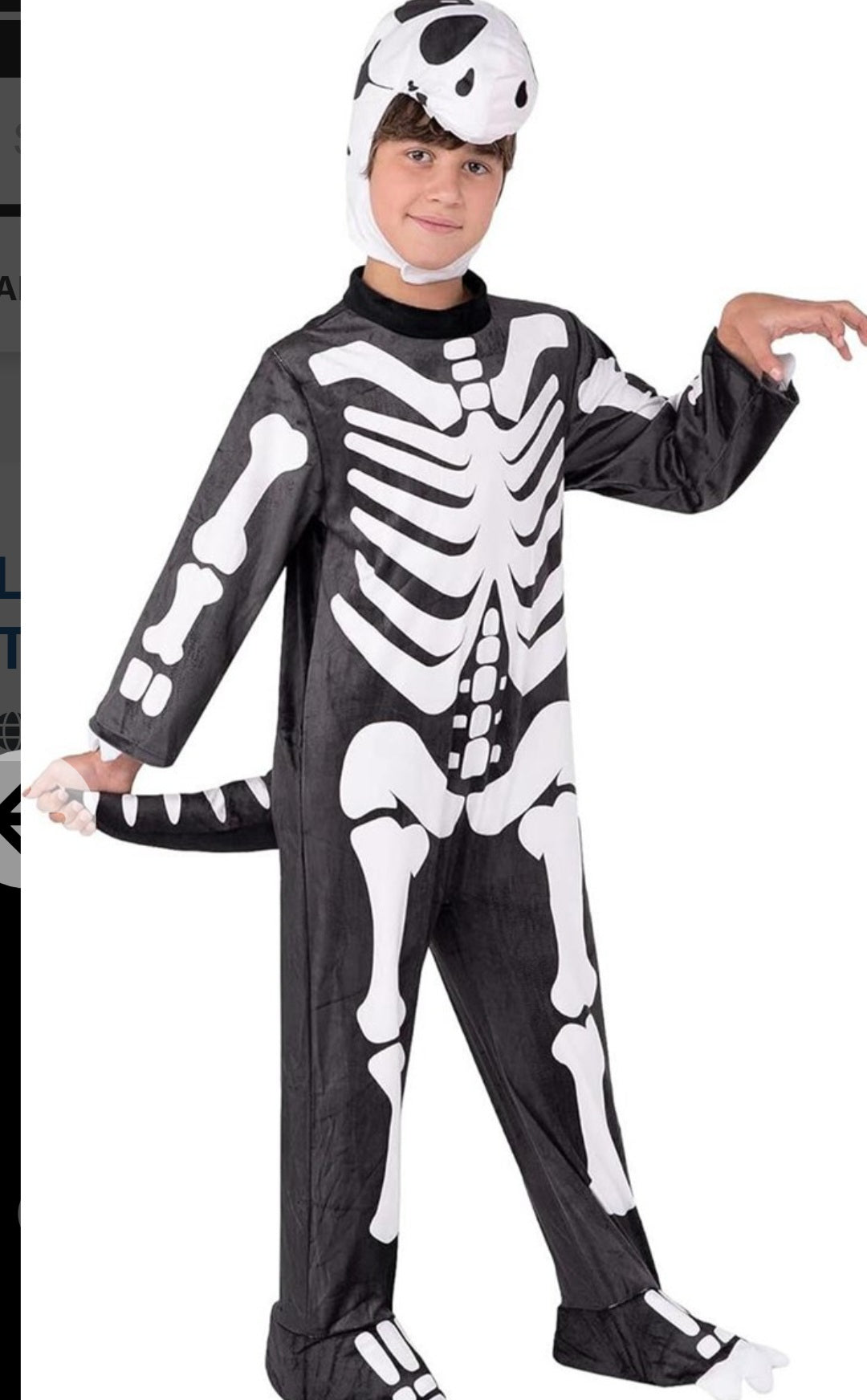 Cartoonish Skeleton T-Rex