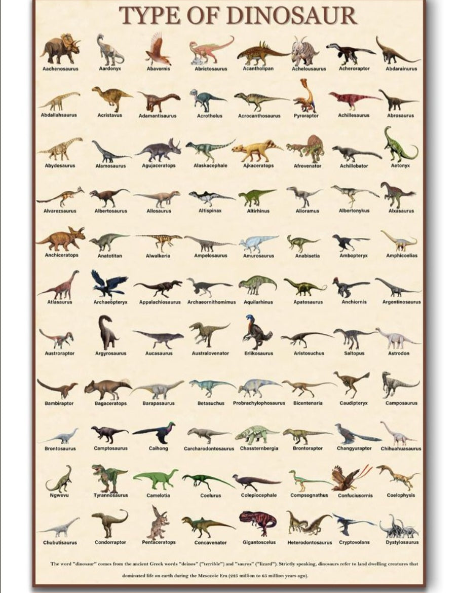 Types of Dinosaurs Poster